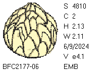 1718045336449.png