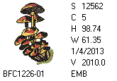 BFC1458-01-EMB-tn_1.png