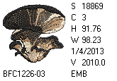 BFC1458-01-EMB-tn_1.png
