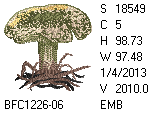 BFC1458-01-EMB-tn_1.png
