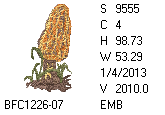 BFC1458-01-EMB-tn_1.png