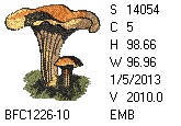 BFC1458-01-EMB-tn_1.png