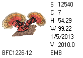 BFC1458-01-EMB-tn_1.png