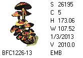 BFC1458-13-EMB-tn_1.png