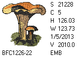 BFC1458-13-EMB-tn_1.png