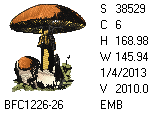 BFC1458-25-EMB-tn_1.png