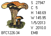 BFC1458-25-EMB-tn_1.png
