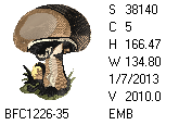 BFC1458-25-EMB-tn_1.png