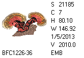 BFC1458-25-EMB-tn_1.png