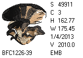 BFC1458-37-EMB-tn_1.png