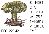 BFC1458-37-EMB-tn_1.png