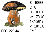 BFC1458-37-EMB-tn_1.png