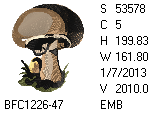 BFC1458-37-EMB-tn_1.png