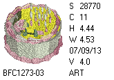 BFC1458-13-EMB-tn_1.png