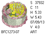 BFC1458-25-EMB-tn_1.png