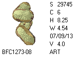 BFC1458-25-EMB-tn_1.png