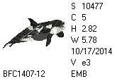 BFC1458-25-EMB-tn_1.png