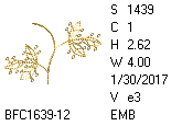 BFC1458-37-EMB-tn_1.png