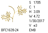 BFC1458-37-EMB-tn_1.png