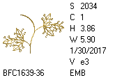 BFC1458-37-EMB-tn_1.png