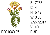 BFC1458-13-EMB-tn_1.png