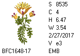 BFC1458-25-EMB-tn_1.png