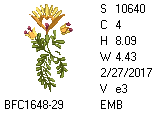 BFC1458-37-EMB-tn_1.png