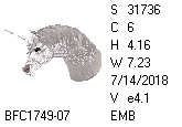 BFC1458-37-EMB-tn_1.png