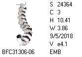 BFC1458-37-EMB-tn_1.png