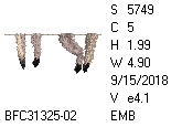 BFC1458-13-EMB-tn_1.png