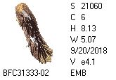 BFC1458-25-EMB-tn_1.png