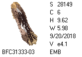 BFC1458-37-EMB-tn_1.png