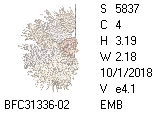 BFC1458-25-EMB-tn_1.png