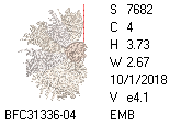 BFC1458-13-EMB-tn_1.png