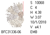 BFC1458-37-EMB-tn_1.png