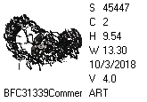 BFC1458-13-EMB-tn_1.png