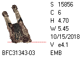 BFC1458-37-EMB-tn_1.png