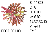 BFC1458-37-EMB-tn_1.png