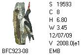 BFC1458-13-EMB-tn_1.png