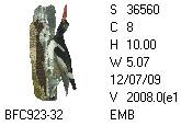 BFC1458-37-EMB-tn_1.png