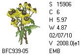 BFC1458-13-EMB-tn_1.png