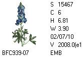 BFC1458-13-EMB-tn_1.png
