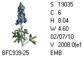 BFC1458-25-EMB-tn_1.png