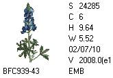 BFC1458-37-EMB-tn_1.png