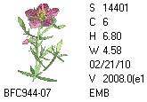 BFC1458-13-EMB-tn_1.png