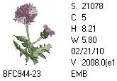 BFC1458-25-EMB-tn_1.png