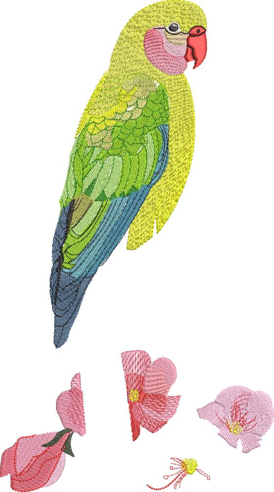bird1.jpg