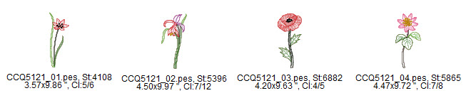 CCQ5121_Designs_.jpg