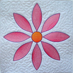 ccq0315_daisiy_pink.jpg