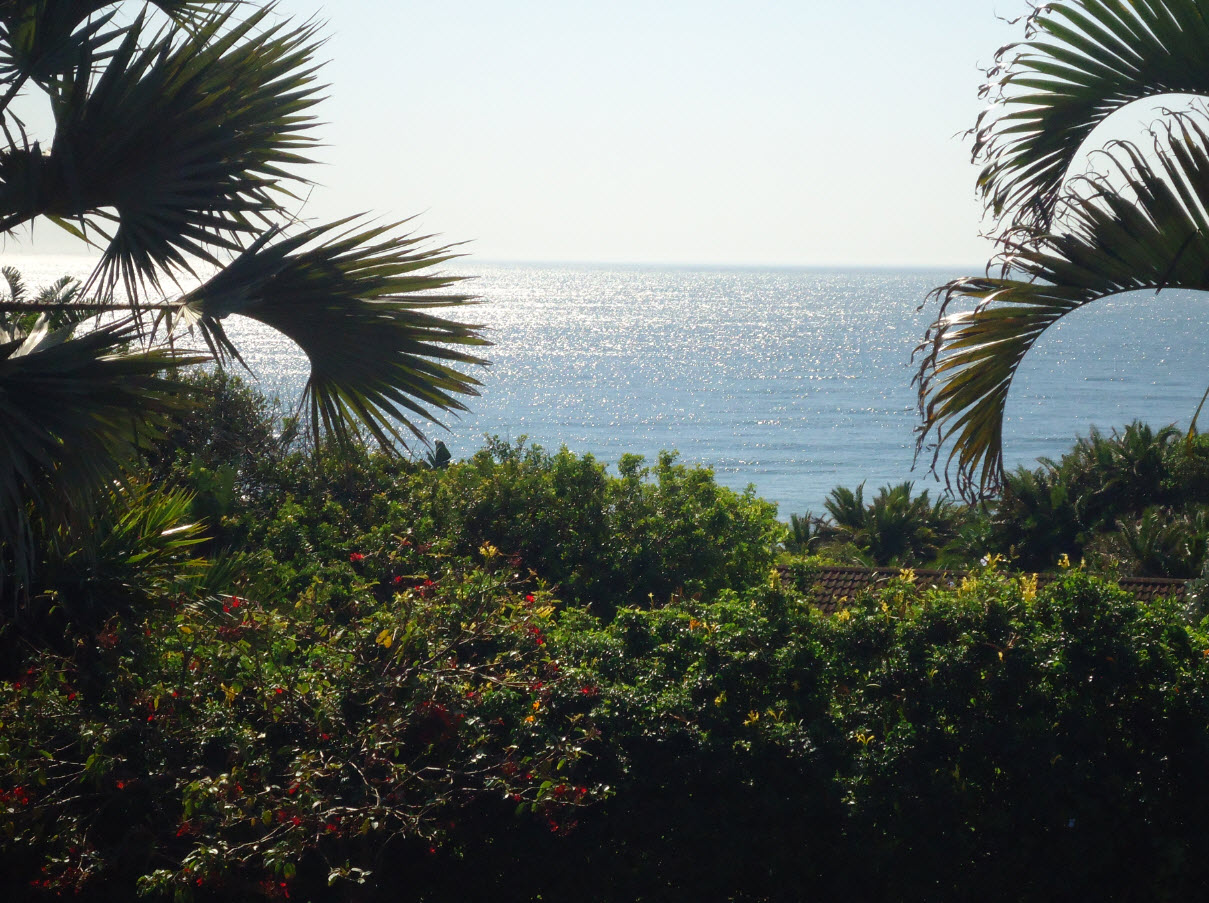 garden_view.jpg